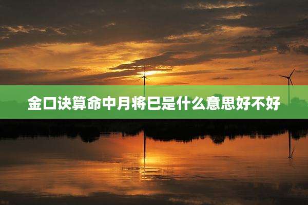 金口诀算命中月将巳是什么意思好不好