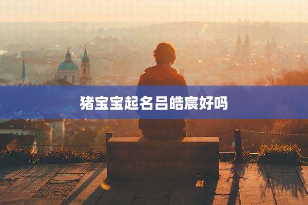 猪宝宝起名吕皓宸好吗
