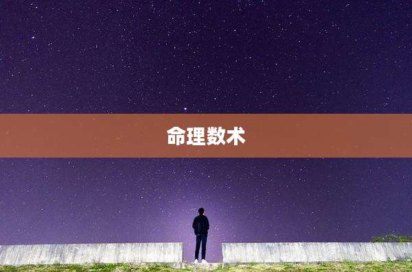 命理数术