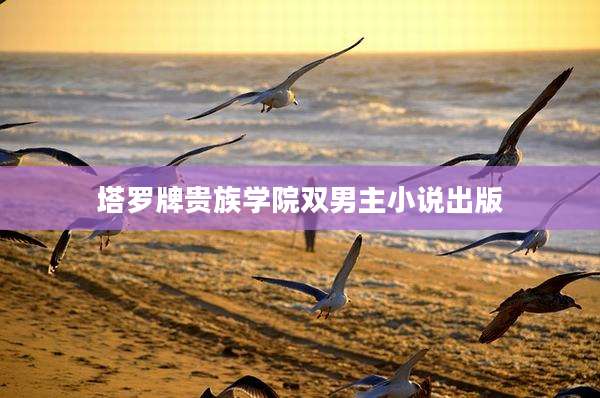 塔罗牌贵族学院双男主小说出版