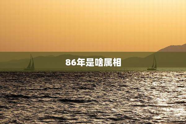 86年是啥属相