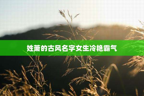姓萧的古风名字女生冷艳霸气