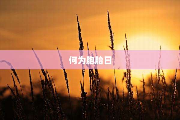 何为胞胎日
