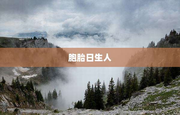 胞胎日生人
