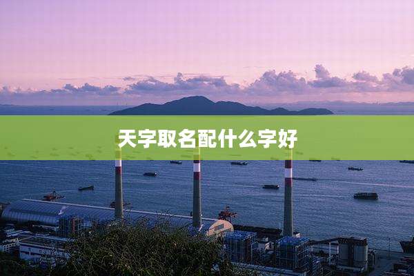 天字取名配什么字好