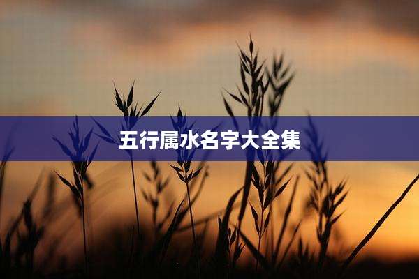 五行属水名字大全集