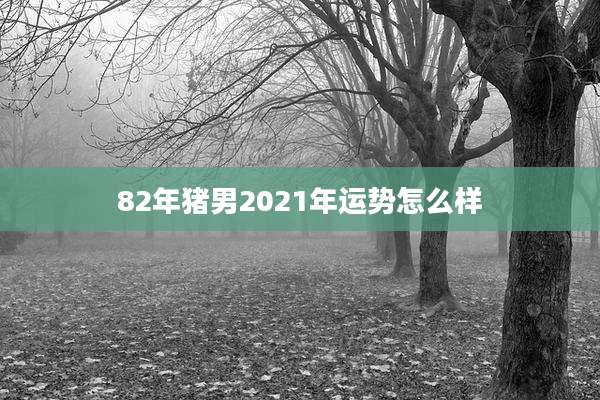 82年猪男2021年运势怎么样