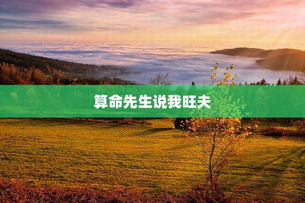 算命先生说我旺夫