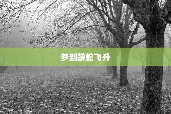 梦到蟒蛇飞升
