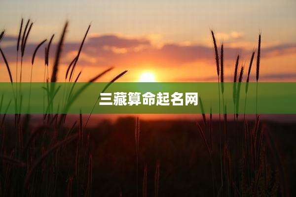 三藏算命起名网