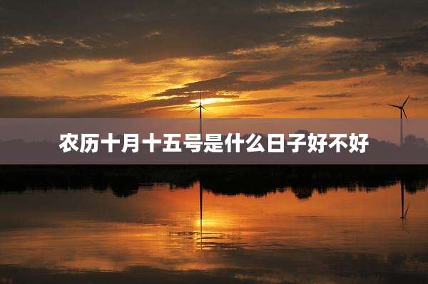 农历十月十五号是什么日子好不好