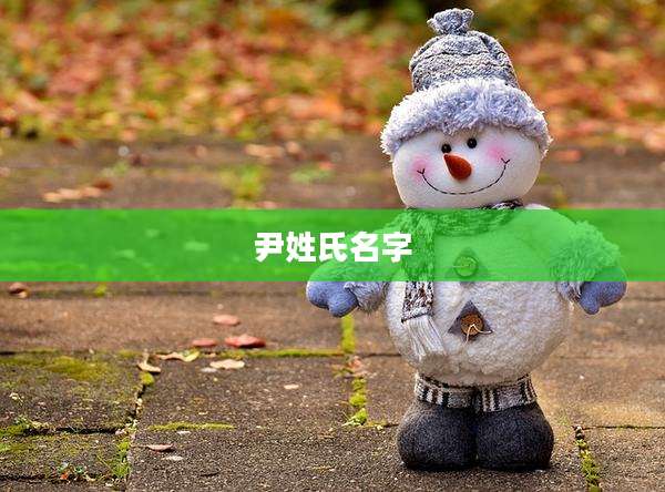 尹姓氏名字