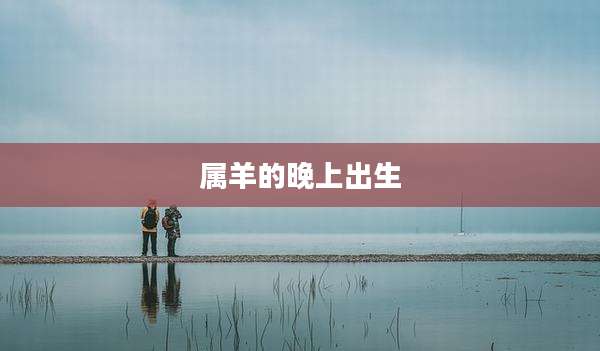 属羊的晚上出生