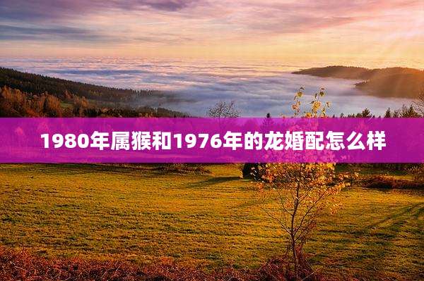1980年属猴和1976年的龙婚配怎么样