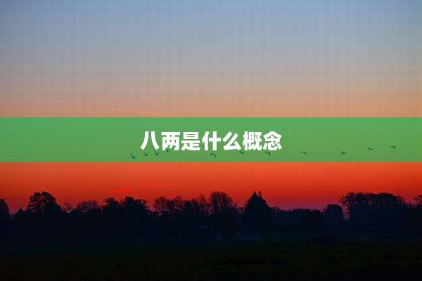 八两是什么概念