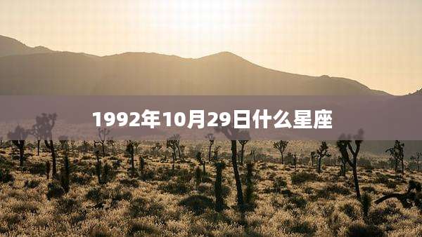 1992年10月29日什么星座
