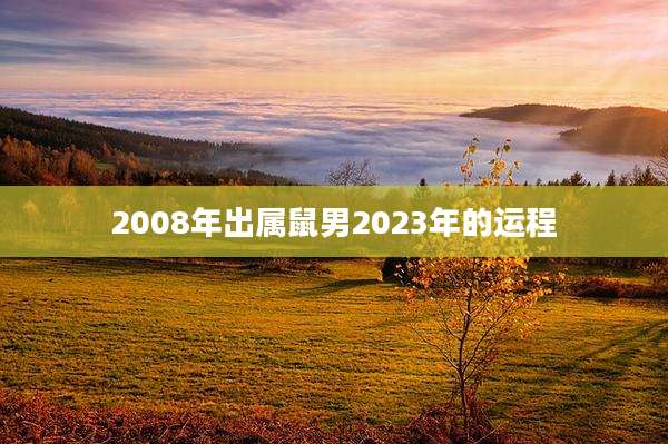 2008年出属鼠男2023年的运程