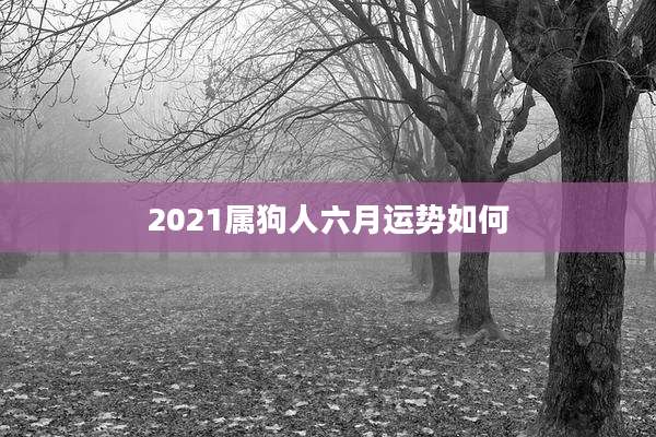 2021属狗人六月运势如何