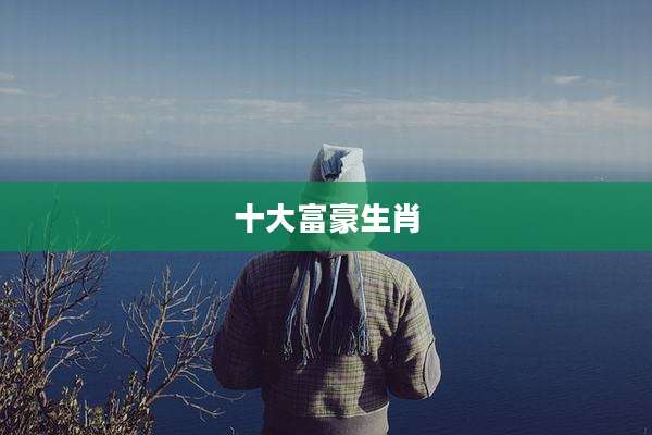 十大富豪生肖