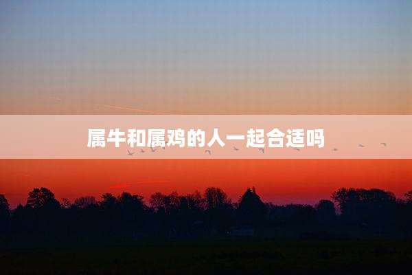 属牛和属鸡的人一起合适吗