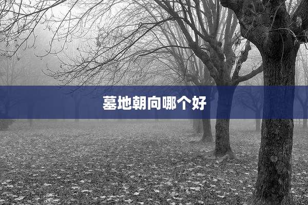墓地朝向哪个好