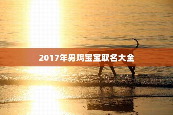 2017年男鸡宝宝取名大全