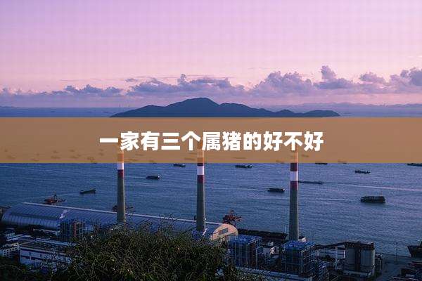 一家有三个属猪的好不好