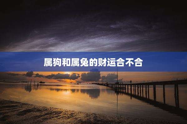 属狗和属兔的财运合不合