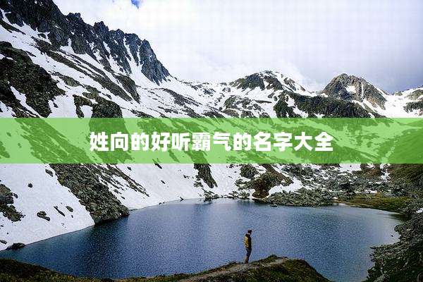 姓向的好听霸气的名字大全