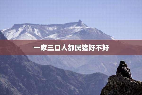 一家三口人都属猪好不好