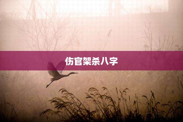 伤官架杀八字
