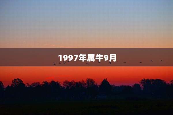 1997年属牛9月
