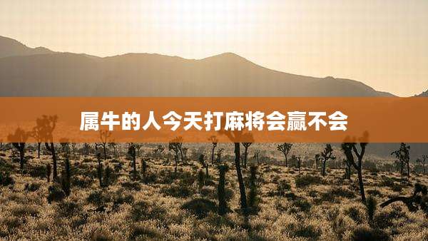 属牛的人今天打麻将会赢不会