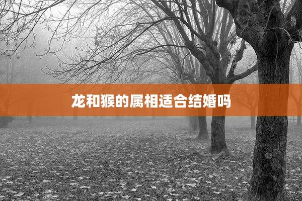 龙和猴的属相适合结婚吗