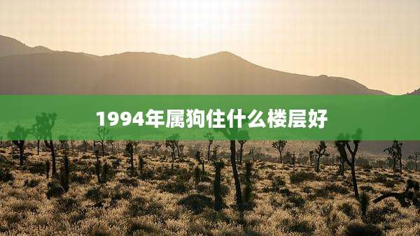 1994年属狗住什么楼层好