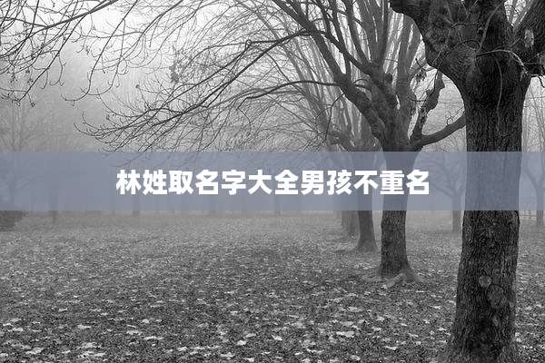 林姓取名字大全男孩不重名