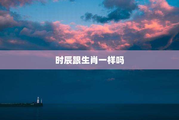 时辰跟生肖一样吗