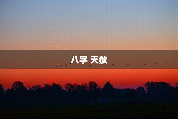 八字 天赦