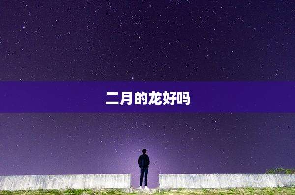 二月的龙好吗