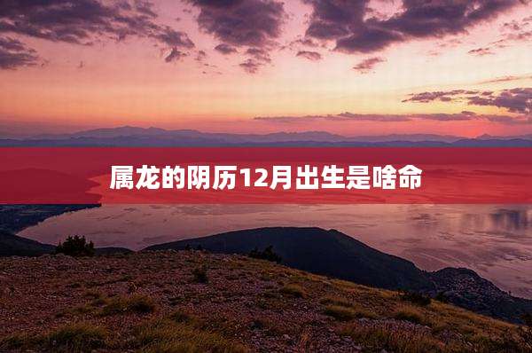 属龙的阴历12月出生是啥命