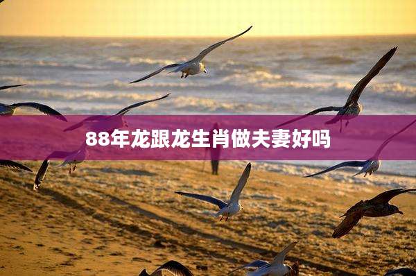 88年龙跟龙生肖做夫妻好吗