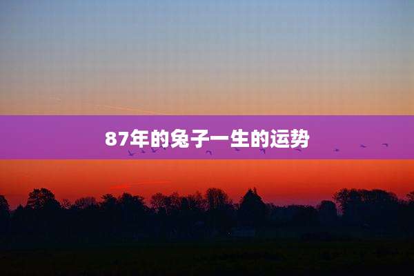 87年的兔子一生的运势