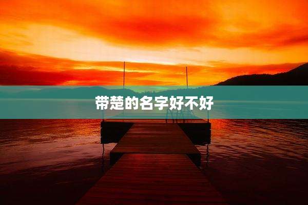 带楚的名字好不好