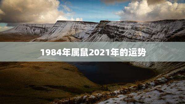 1984年属鼠2021年的运势