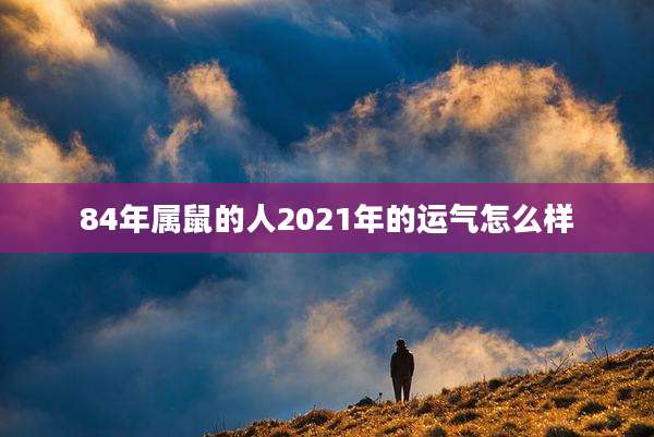 84年属鼠的人2021年的运气怎么样