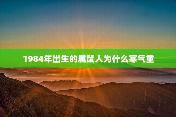 1984年出生的属鼠人为什么寒气重