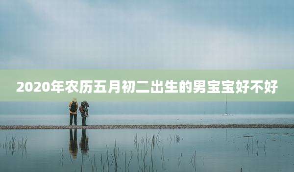 2020年农历五月初二出生的男宝宝好不好