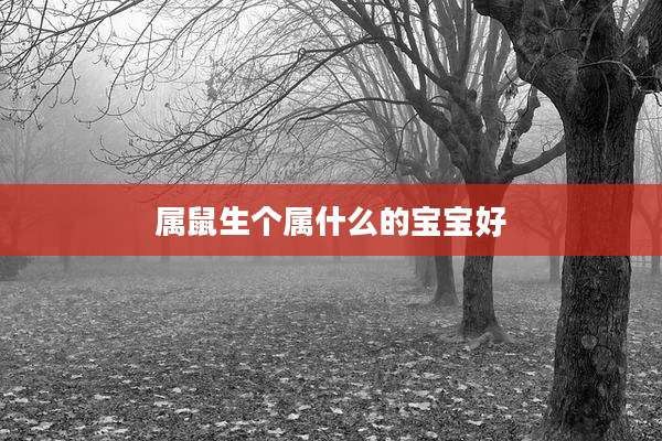 属鼠生个属什么的宝宝好