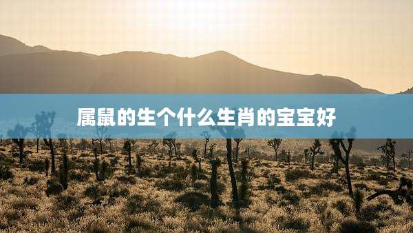 属鼠的生个什么生肖的宝宝好
