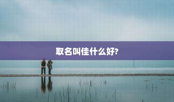 取名叫佳什么好?